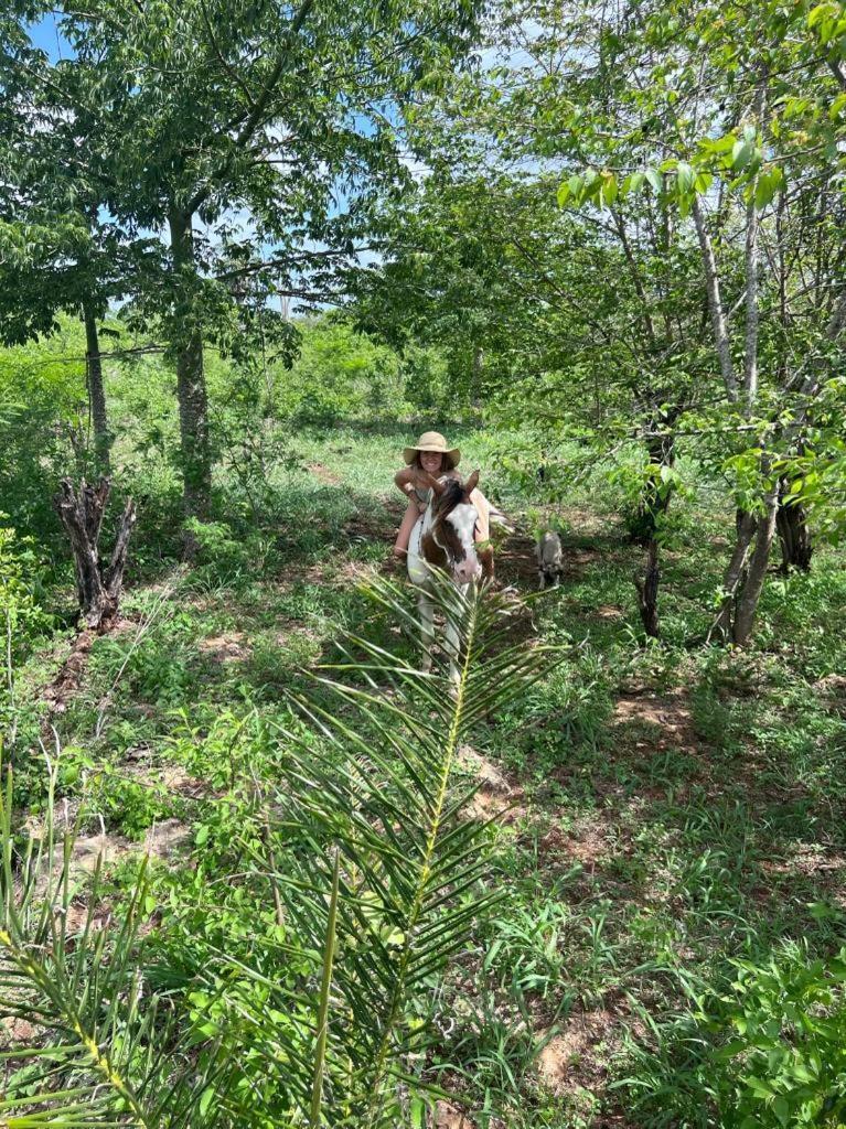 蒂西明Casitas At Rancho Kuxtal别墅 外观 照片