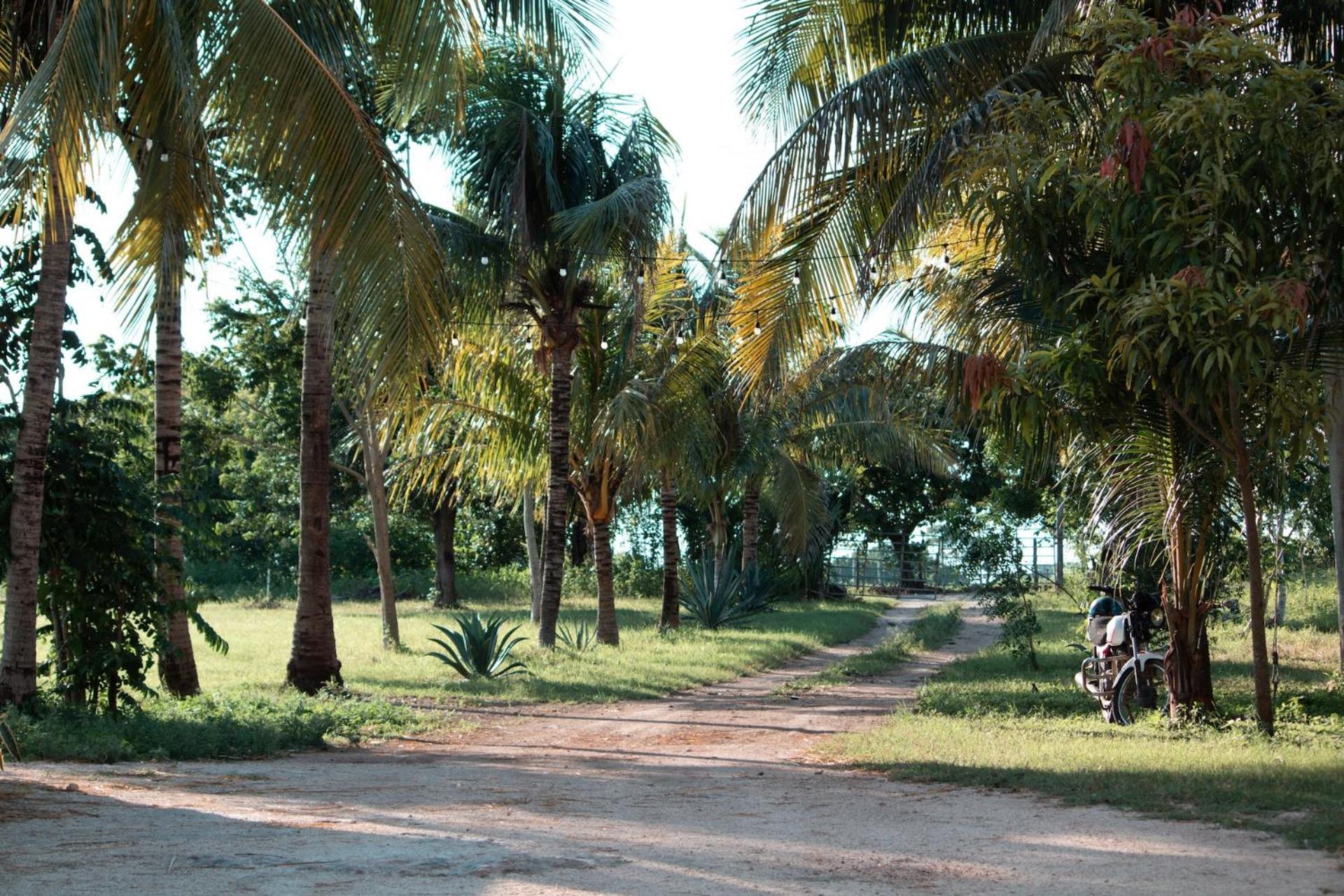 蒂西明Casitas At Rancho Kuxtal别墅 外观 照片
